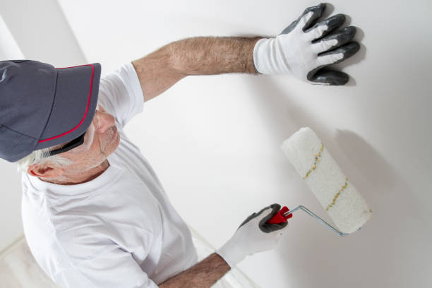 Professional Mold Removal in Lakeview, WA
