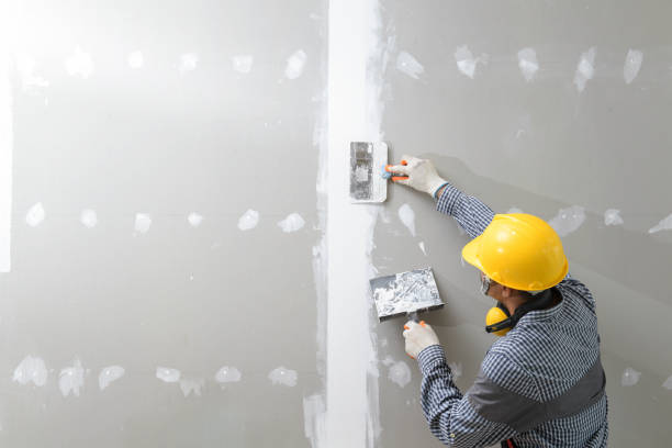 Best Dehumidification Services  in Lakeview, WA