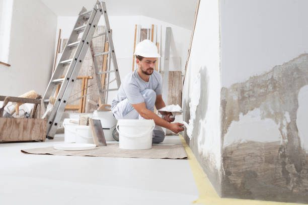 Best Mold Odor Removal Services  in Lakeview, WA