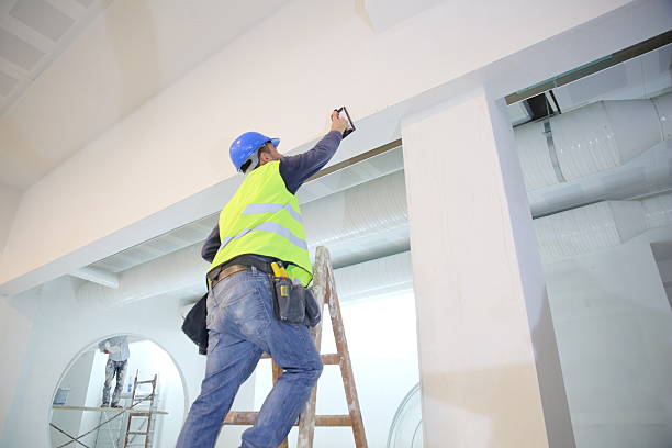  Lakeview, WA Mold Removal Pros