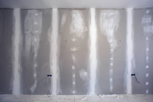Best Mold-Related Health Consultation  in Lakeview, WA